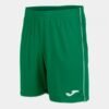 LIGA SHORTS GREEN-WHITE | 101324.452