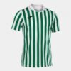 COPA II SHORT SLEEVE T-SHIRT WHITE GREEN
