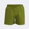 STRIPE SWIM SHORTS GREEN