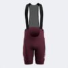 CRONO CYCLING SHORTS PURPLE | 103456.584